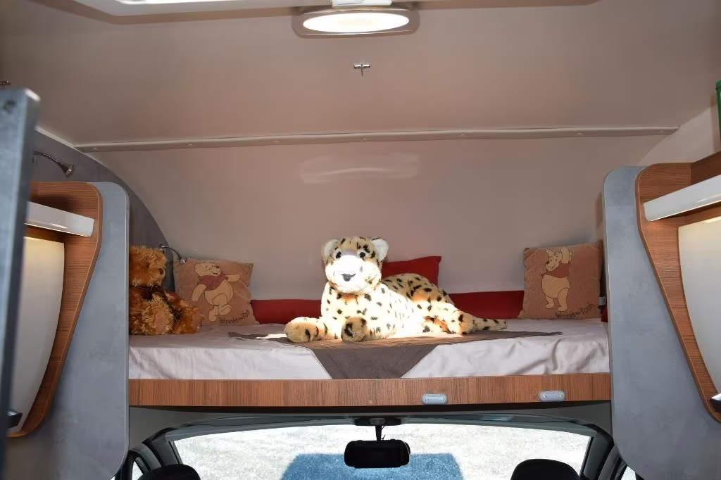 Elnagh Baron 65-Automatic-2023 – Image 24